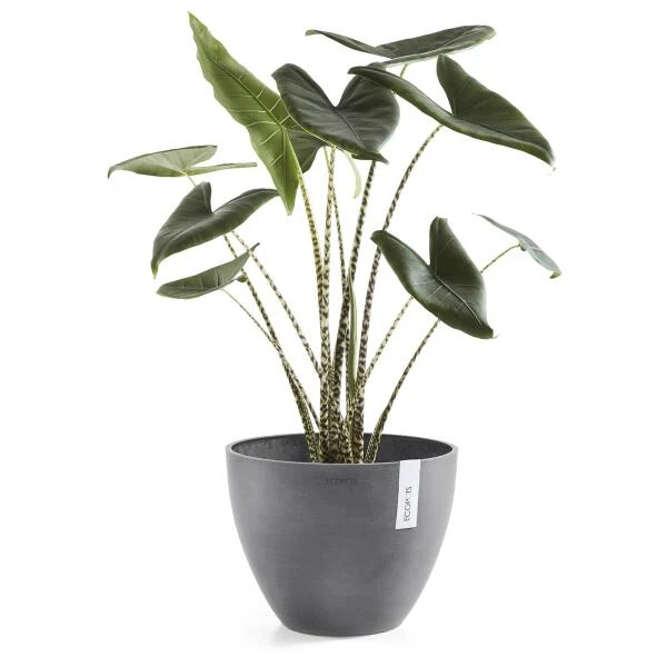 ECOPOTS Antwerp - Grijs Ø 40 Cm - Afbeelding 2
