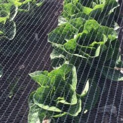 Duivenweringsnet Columba Plus - 4 M × 5 M