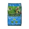 Evergreen Gazonmest En Anti-mos 2 In 1 - 7 Kg
