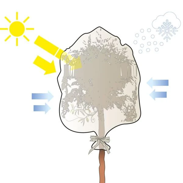 Thermobeschermhoes Q-Extreme XXL Voor Planten - 300 × 200 Cm - Afbeelding 4