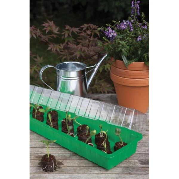 Kweekkas Met 20 Kokos Tabletten - 54 × 15 × 12 Cm - Afbeelding 2