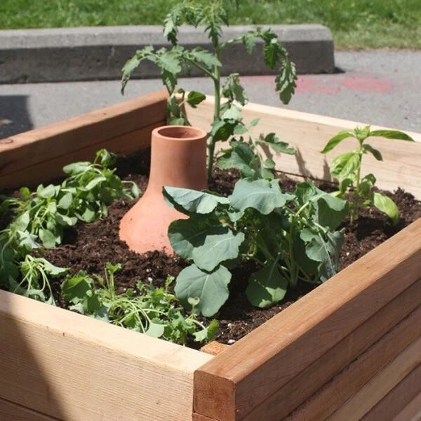 Bewateringssysteem Hydro Max Olla - M - Afbeelding 2