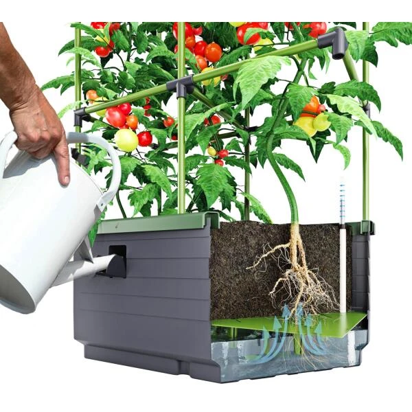 Kweekbak City Jungle Basic Met Klimframe - Afbeelding 4