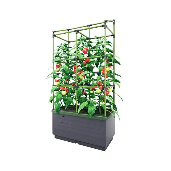Kweekbak City Jungle Basic Met Klimframe - Afbeelding 2