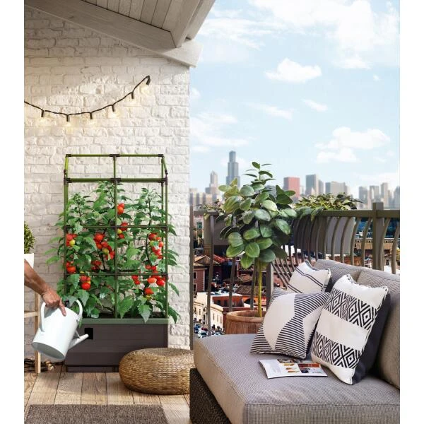 Kweekbak City Jungle Basic Met Klimframe - Afbeelding 5