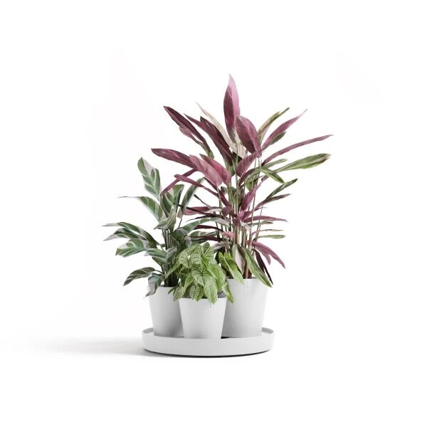 ECOPOTS Dubai Ø 57 Cm - Puur Wit