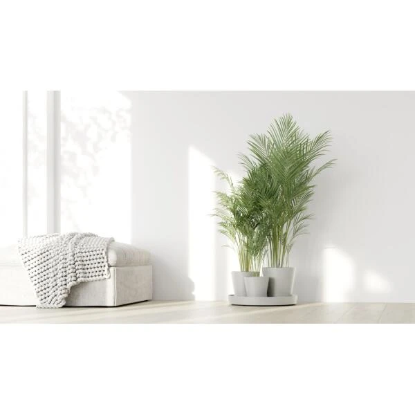 ECOPOTS Dubai Ø 57 Cm - Puur Wit - Afbeelding 3