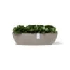 ECOPOTS Sofia Long 55 Cm - Taupe