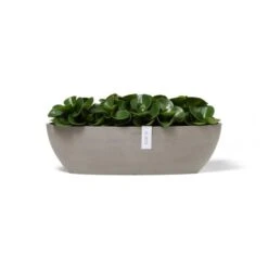 ECOPOTS Sofia Long 55 Cm - Taupe