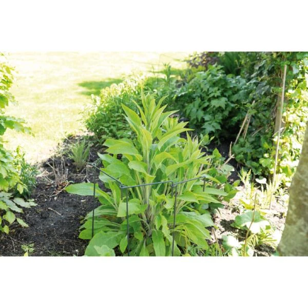 Sogo Plantensteun Koppelbaar 30 X 76 Cm - Afbeelding 2