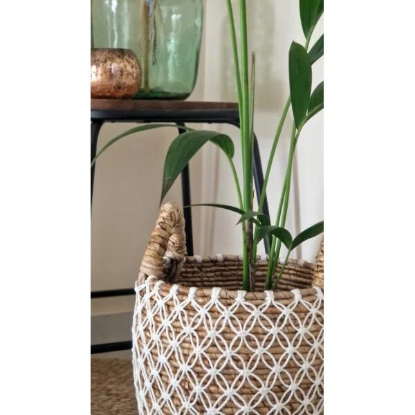 Banana Mand - Ø 30 × 34 Cm - S/M - Afbeelding 3