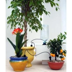 Bewateringskit Met 3 Druppelaars