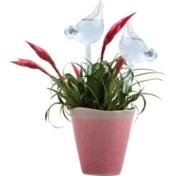 Glazen Bewateringsvogels - Set Van 2 Stuks