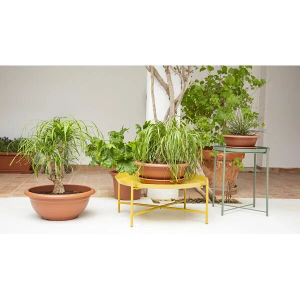 Bloemenschaal Venezia 40 Cm - Terracotta - Afbeelding 2