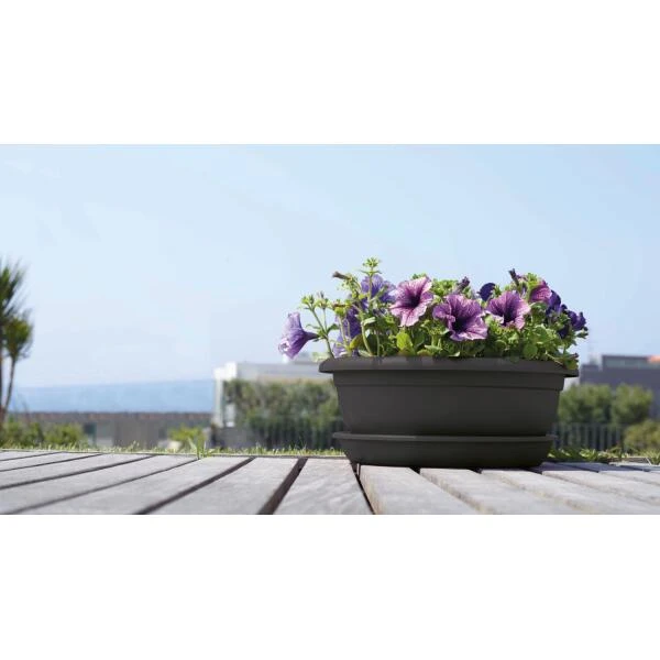 Bloemenschaal Venezia 50 Cm - Antraciet - Afbeelding 3