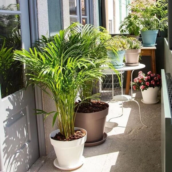 Bloempot Capri 50 Cm - Taupe - Afbeelding 2