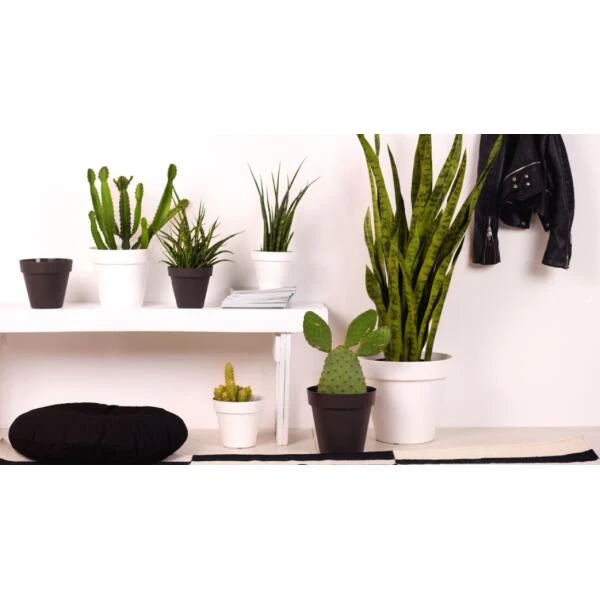 Bloempot Capri 60 Cm - Antraciet - Afbeelding 2