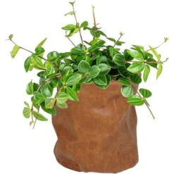 Bloempot Juna Cognac - Ø 14 × 14 Cm