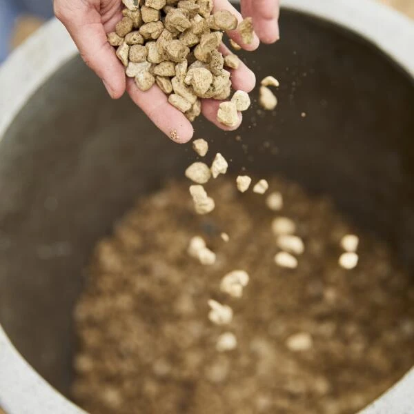 Compo Bio Granuplant Puimsteenkorrels - 40 L - Afbeelding 3