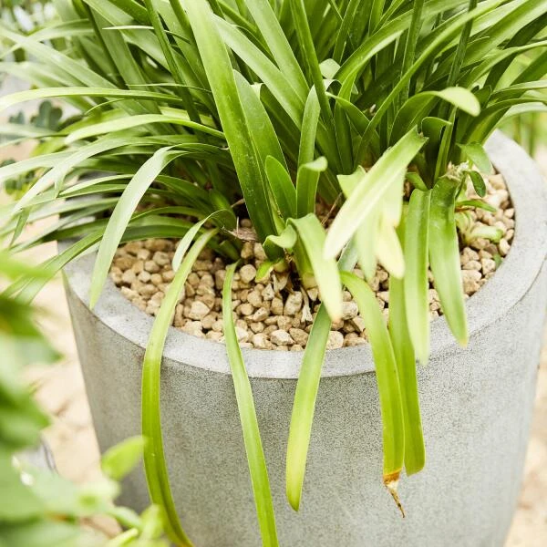 Compo Bio Granuplant Puimsteenkorrels - 40 L - Afbeelding 5