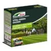 DCM Vital Green Gazonmeststof 3 Kg