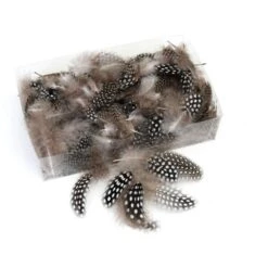 Decoratieve Pluimen - Parelhoen Naturel