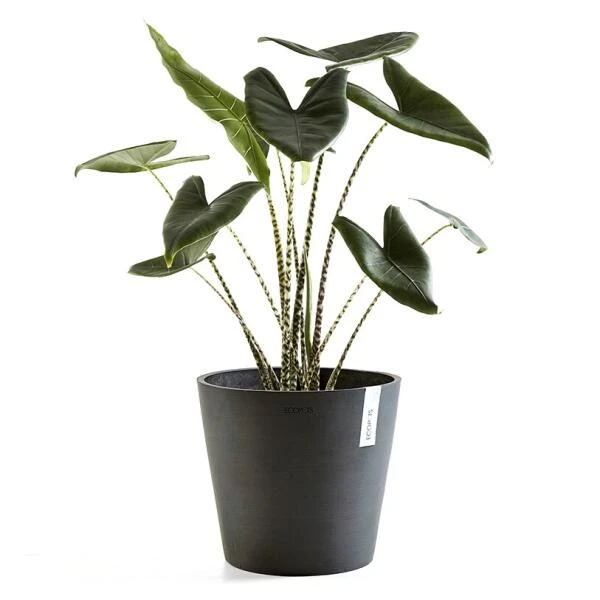 ECOPOTS Amsterdam - Antraciet Ø 30 Cm - Afbeelding 2