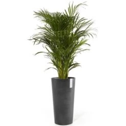 ECOPOTS Amsterdam High XL - Antraciet 76 Cm