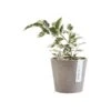 ECOPOTS Amsterdam Mini - Taupe Ø 10,5 Cm