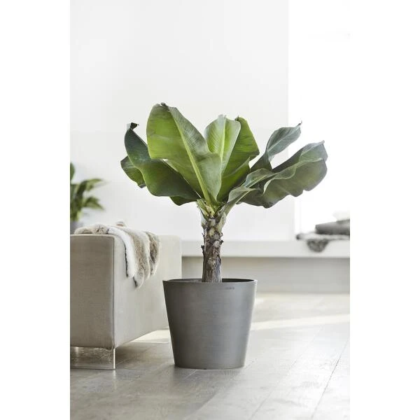 ECOPOTS Amsterdam Op Wielen - Grijs 80 Cm - Afbeelding 4