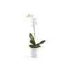 ECOPOTS Morinda Orchideeënpot - Pure White Ø 14 Cm