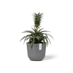 ECOPOTS Oslo Mini - Grijs Ø 16 Cm