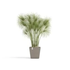 ECOPOTS Rotterdam Met Waterreservoir Taupe - 25 Cm