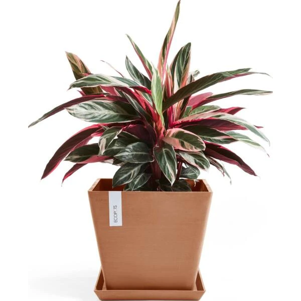 ECOPOTS Rotterdam - Terracotta 30 Cm - Afbeelding 2
