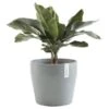 ECOPOTS Sankara Rond - Blauwgrijs Ø 40 Cm