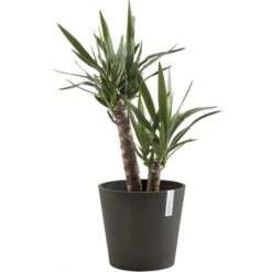 ECOPOTS Venice Met Onderschotel En Waterreserve - Antraciet Ø 40cm