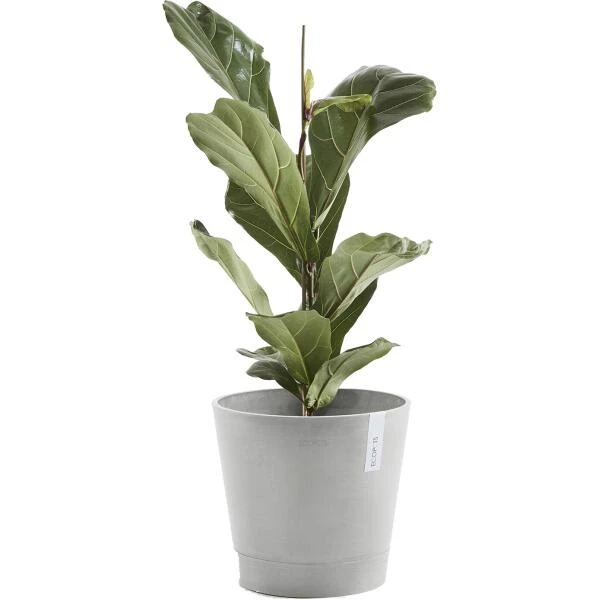 ECOPOTS Venice Met Onderschaal - Witgrijs Ø 30 Cm - Afbeelding 3