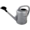 Gieter Zilverkleurig 10 L