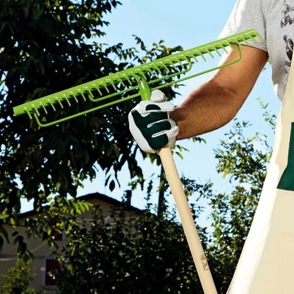 Gras- En Moshark - 32 Tanden - Afbeelding 2