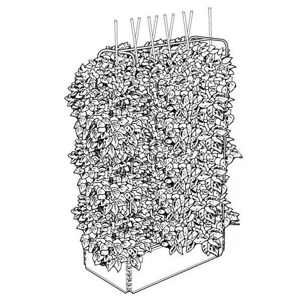 Groeibed 1 × 0,5 M Met Klimframe - Afbeelding 2