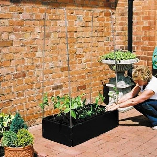 Groeibed 1 × 0,5 M Met Klimframe - Afbeelding 3