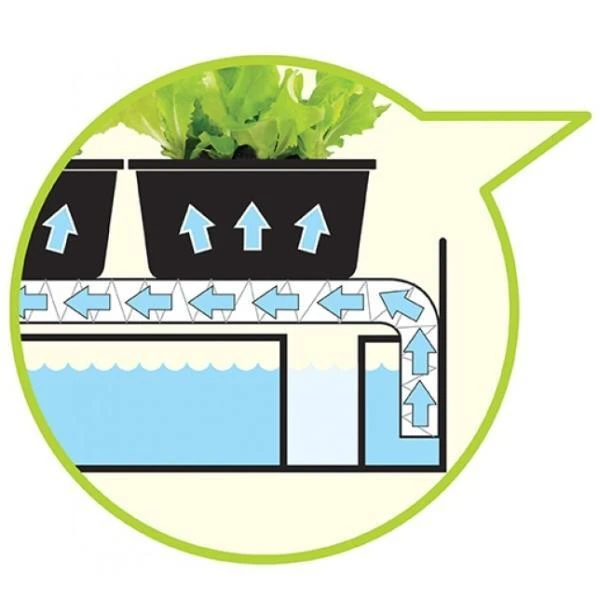 Groeilicht Met Kweekset - Zwart - Afbeelding 3