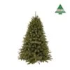 Triumph Tree Kerstboom Kunststof Forest Frosted Groen - 215 Cm