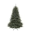 Triumph Tree Kerstboom Kunststof Forest Frosted Blauwgroen - 215 Cm