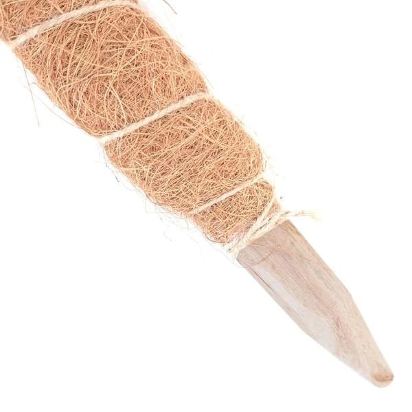 Kokos Kamerplantensteun - Plantstok Ø 45 Mm × 1,5 M - Afbeelding 3