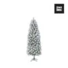 Kunststof Kerstboom Chandler Slim Frosted Black Box - 185 Cm