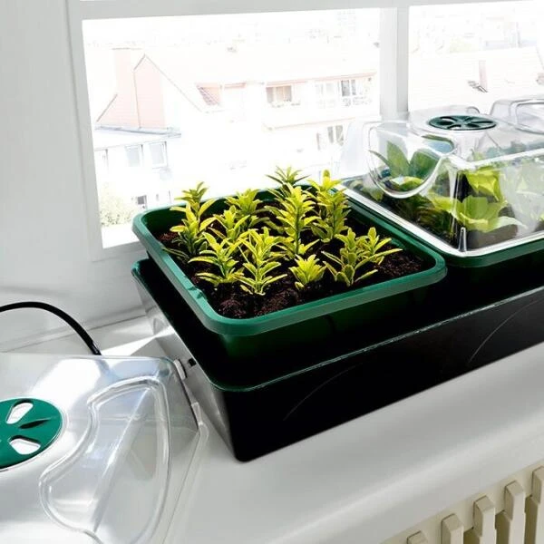 Elektrische Vensterbankkas Met Waterreservoir + Universele Digitale Thermostaat - Afbeelding 2