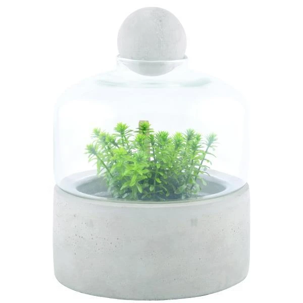 ESSCHERT DESIGN Kweekstolp Glas Op Betonbasis - Afbeelding 2