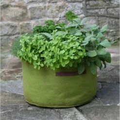 Kweekzak Vigoroot Voor Tuinkruiden