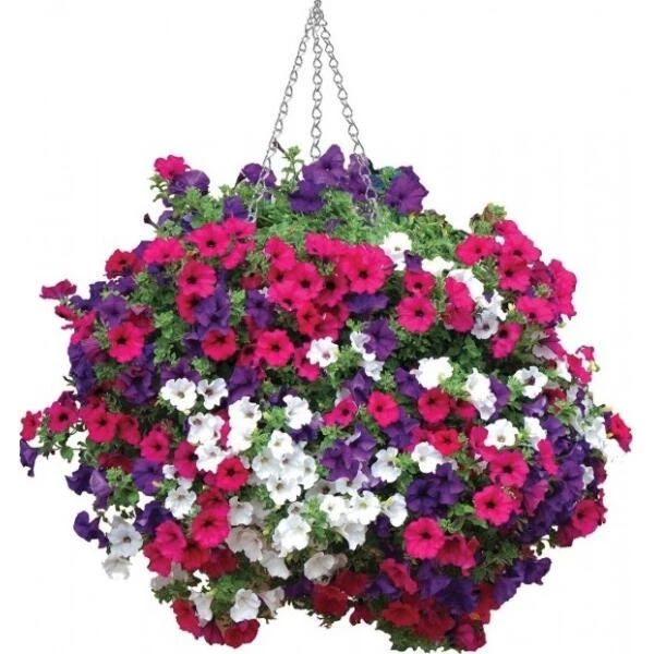 Liner Universeel Voor Hanging Basket - Set Van 2 Stuks - Afbeelding 5